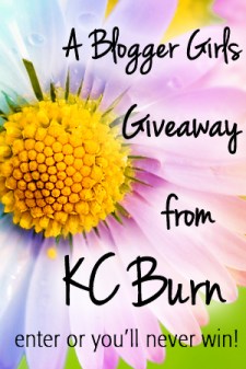 Giveaway Sidebar Banner