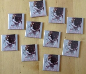 SecretEnergy_magnets