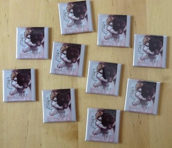 SecretEnergy_magnets